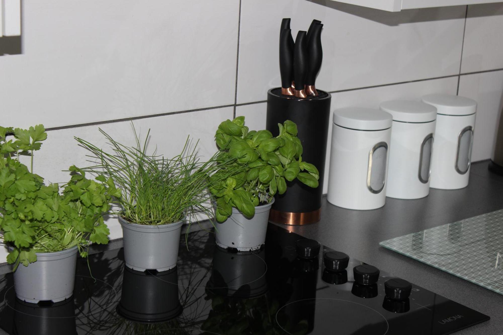Apartment Oliver Wests Beautiful 1 Bedroom Retreat