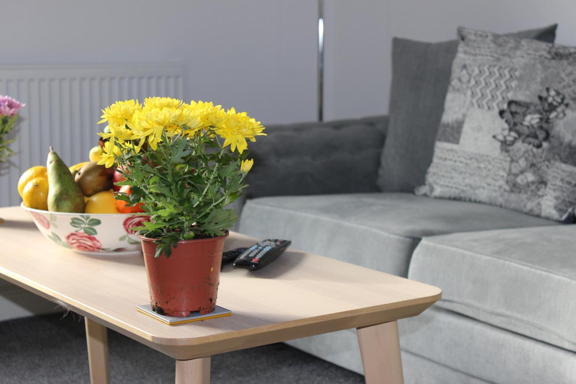 Oliver Wests Beautiful 1 Bedroom Retreat Apartment